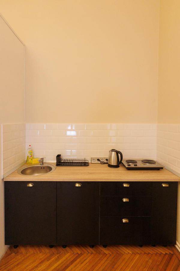 Appartement Spacious Flat In Old Town Wi-fi Timişoara